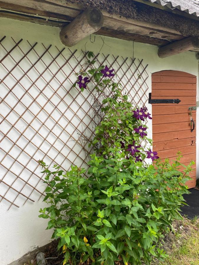 Searooms Lapmežciems Exterior foto